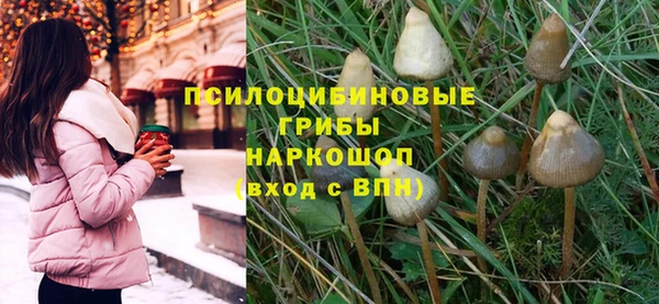 амф Аркадак