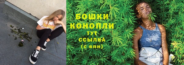 амф Аркадак