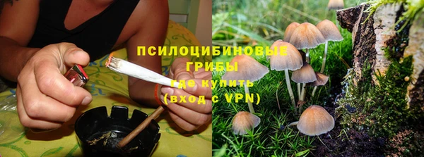 гашик Арсеньев