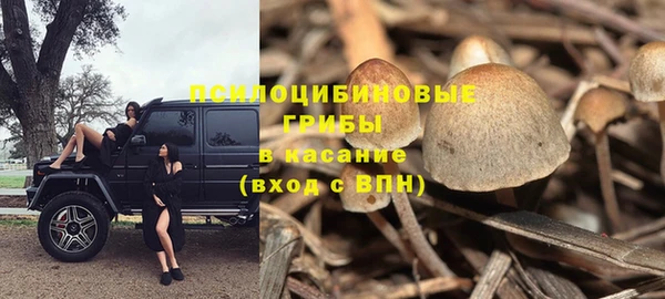 гашик Арсеньев