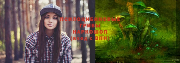 гашик Арсеньев