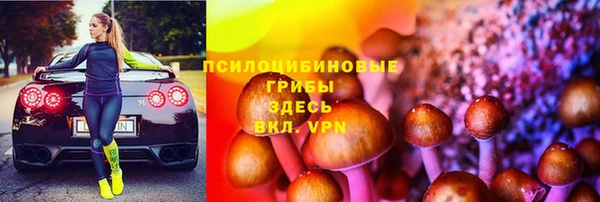 дмт Армянск